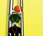 Basketbolcu kediler